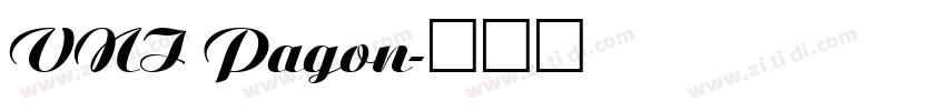 VNI Pagon字体转换